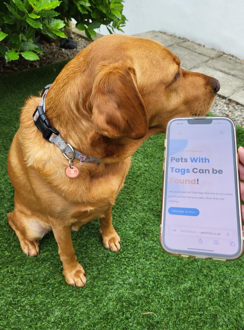 Pawfind Smart Pet Tag - Product Image 5